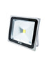 Lexplus & Veto Led Flood Light 50W