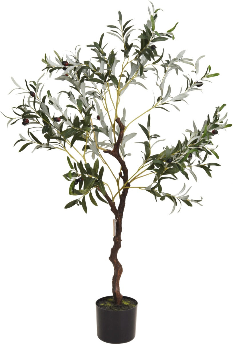 Homesmiths Olive Tree In Pot 120 cm