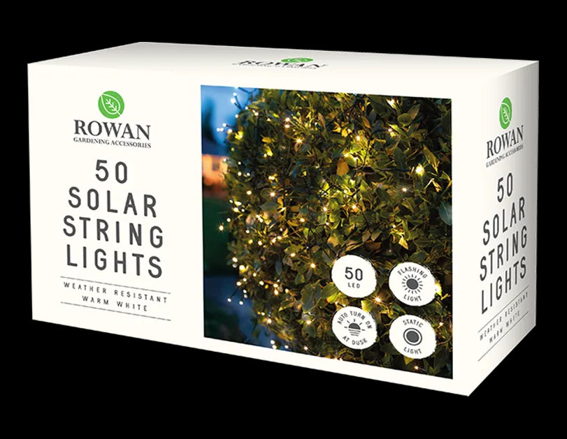 Rowan 50 LED Solar String Lights Warm White