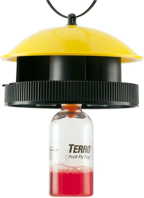 Terro Wasp and Fly Trap Liquid