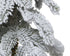 Homesmiths Alpine Mini Tree Snowy