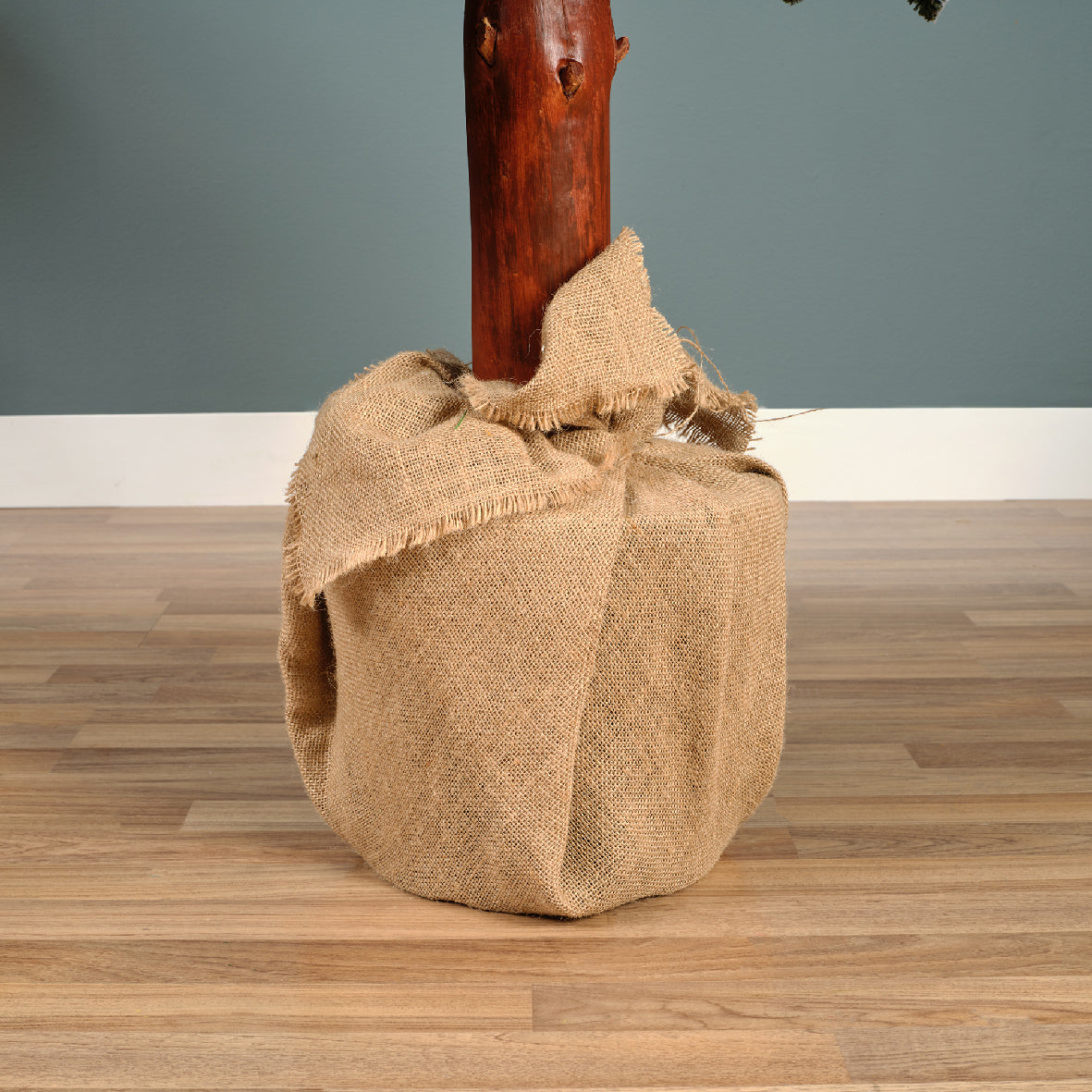 Homesmiths Tora Pine Snowy 240cm