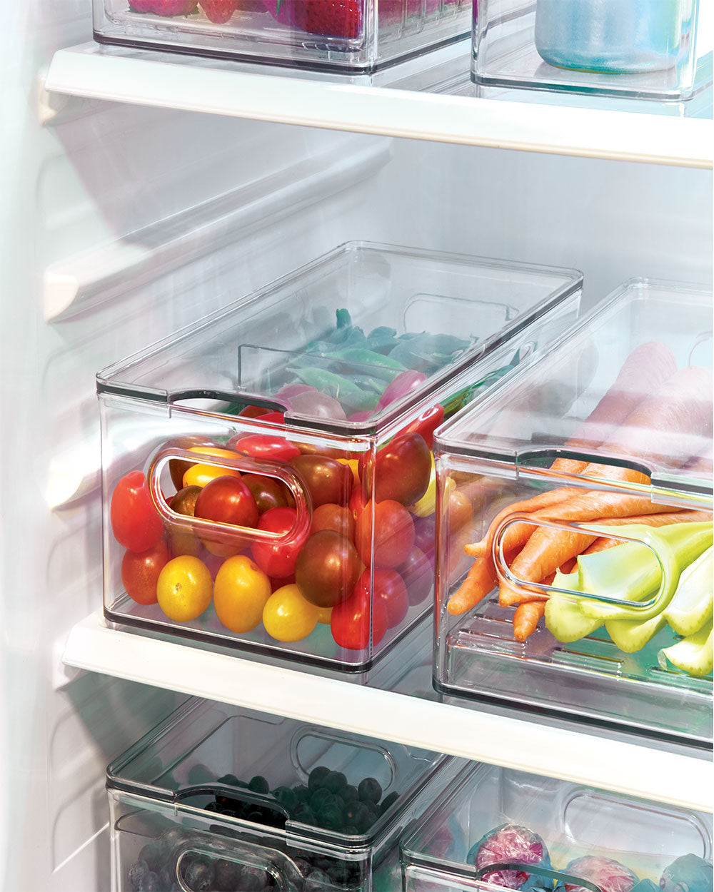 The Home Edit Large Divided Fridge Bin