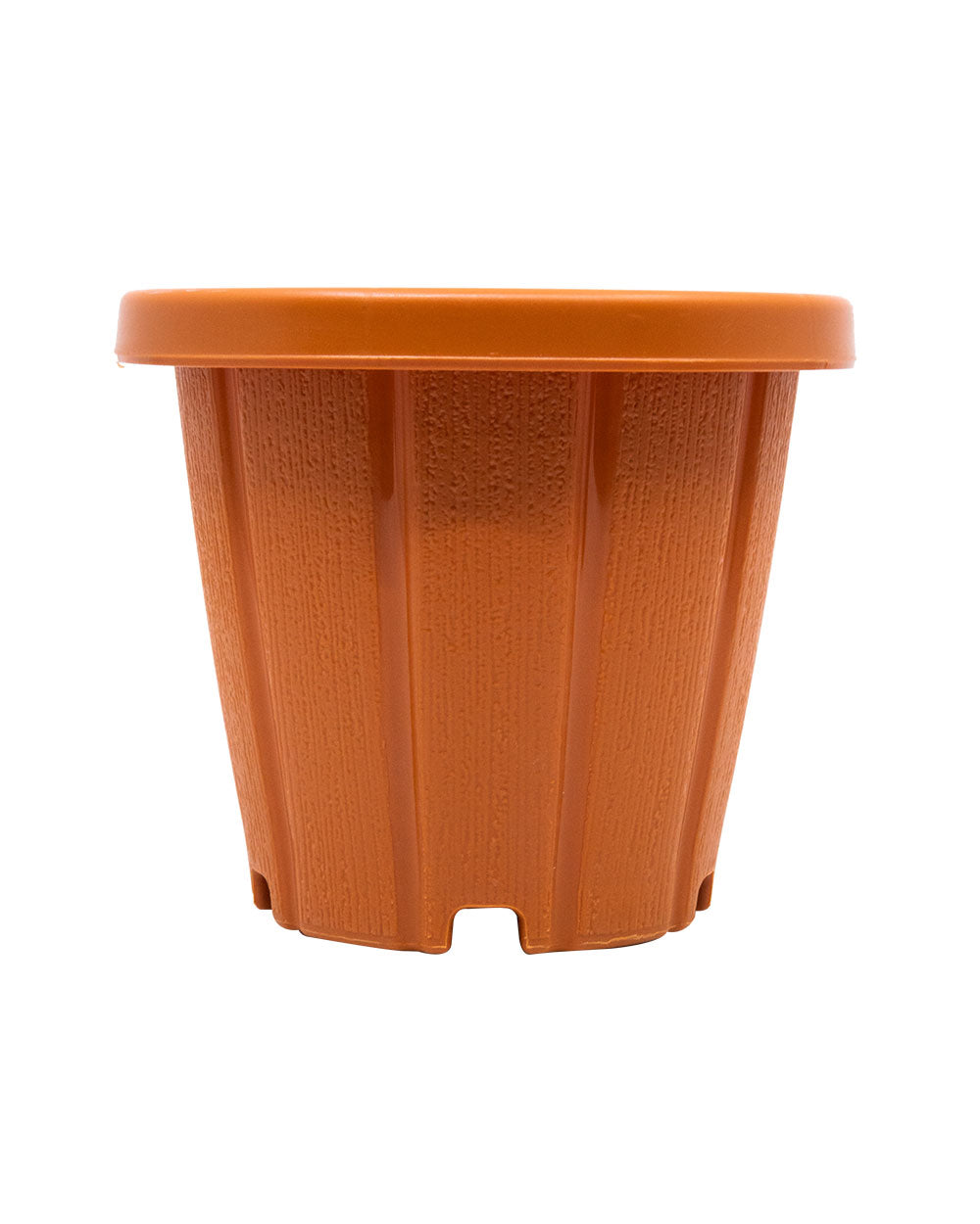 Cosmoplast Woodgrain Pot With Tray 6 Inches