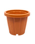 Cosmoplast Woodgrain Pot With Tray 6 Inches