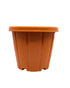 Cosmoplast Woodgrain Pot With Tray 8 Inches