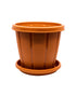 Cosmoplast Woodgrain Pot With Tray 8 Inches
