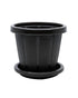 Cosmoplast Woodgrain Pot With Tray 6 Inches Dark Brown