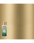 RustOleum 6Oz Gold Mirror Spray