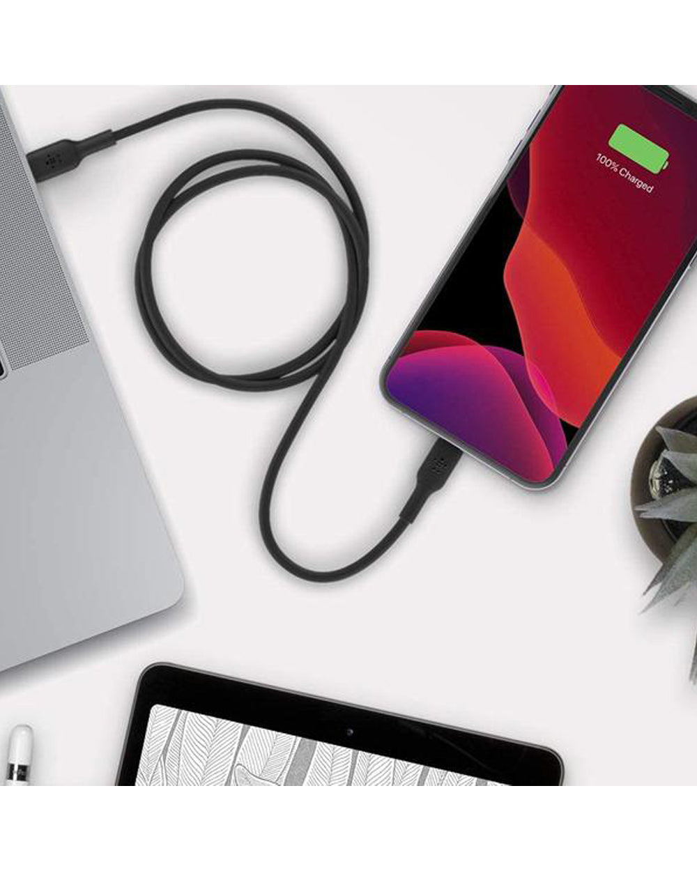 Belkin 1 Meter PVC Lightning to C Cable Black