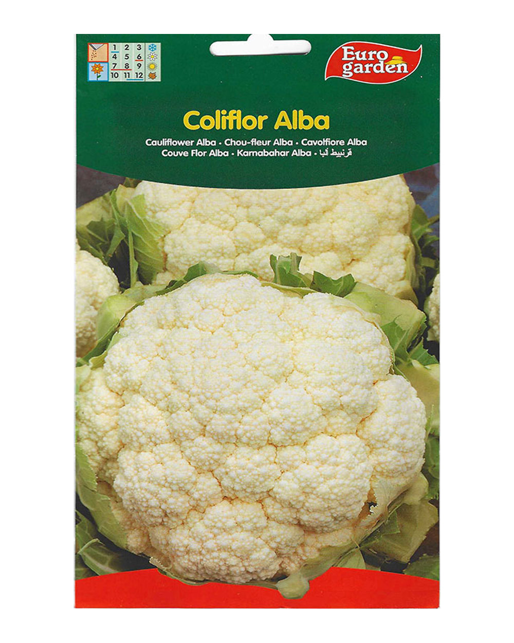 Euro Garden Cauliflower