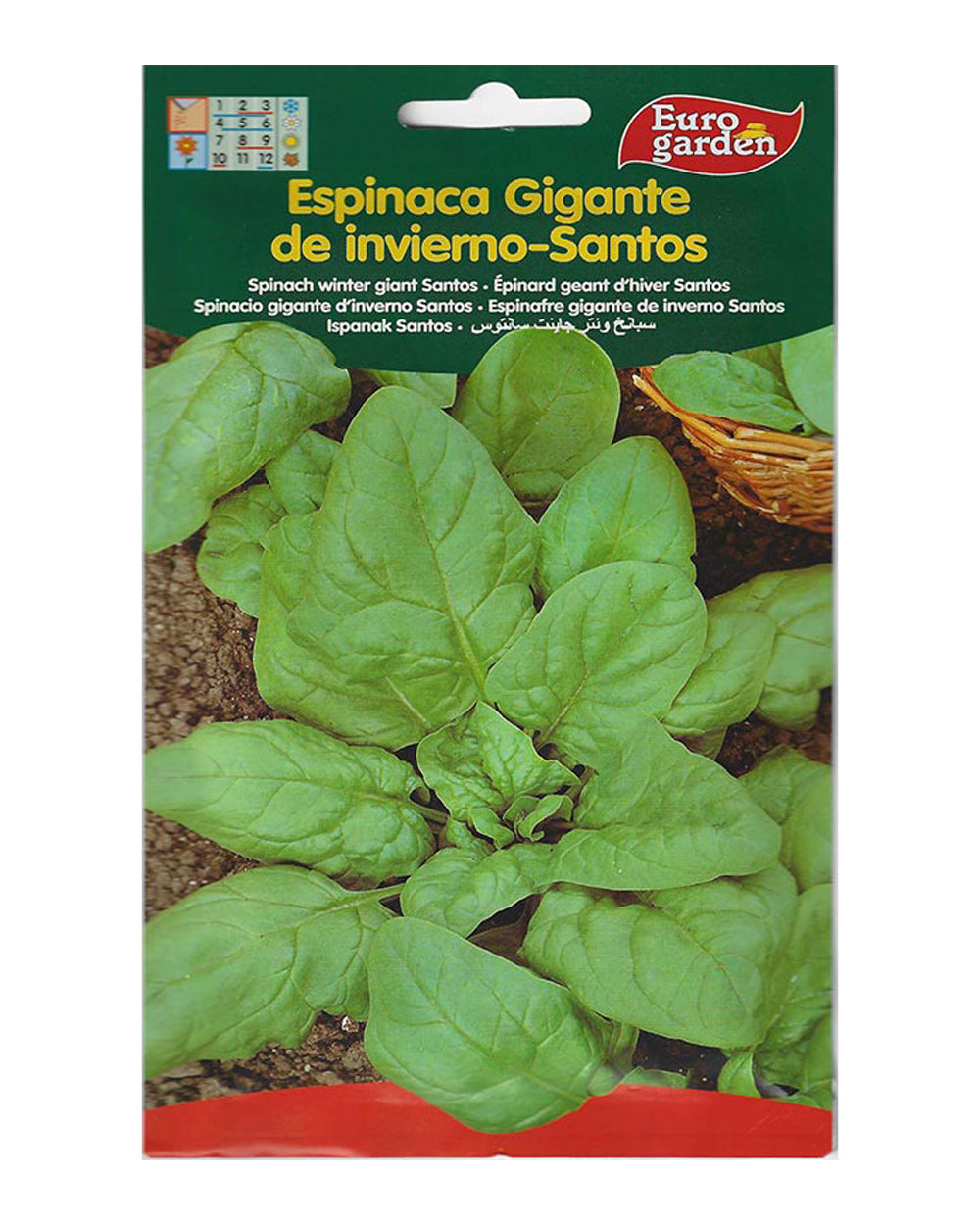 euro garden seeds Euro Garden Spinach Seeds