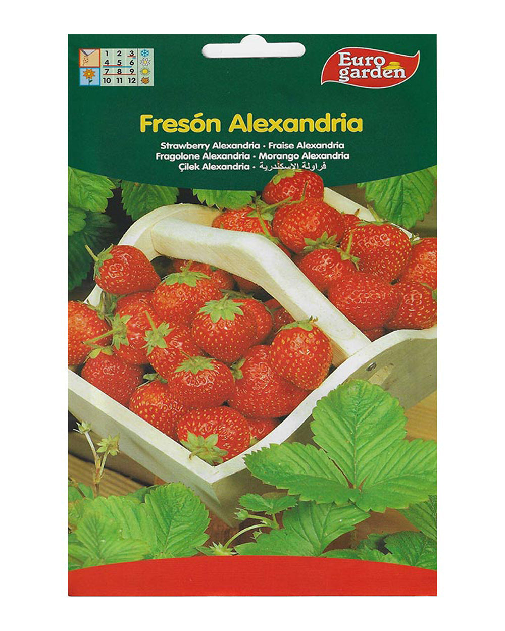 Euro Garden Strawberry