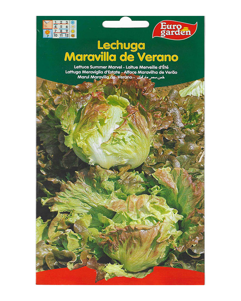 Euro Garden Lettuce