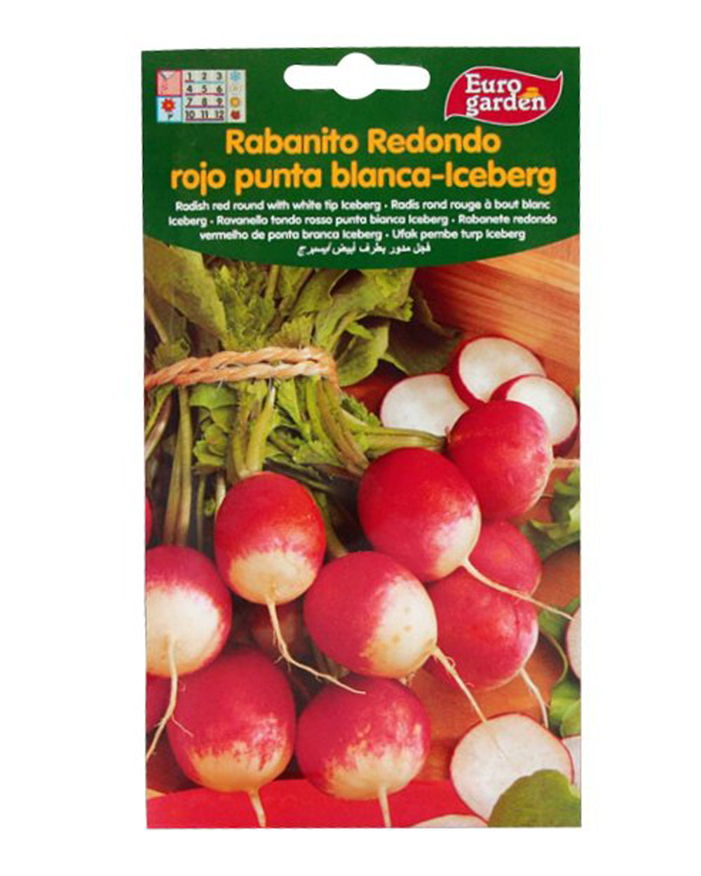 Euro Garden Radish Iceberg