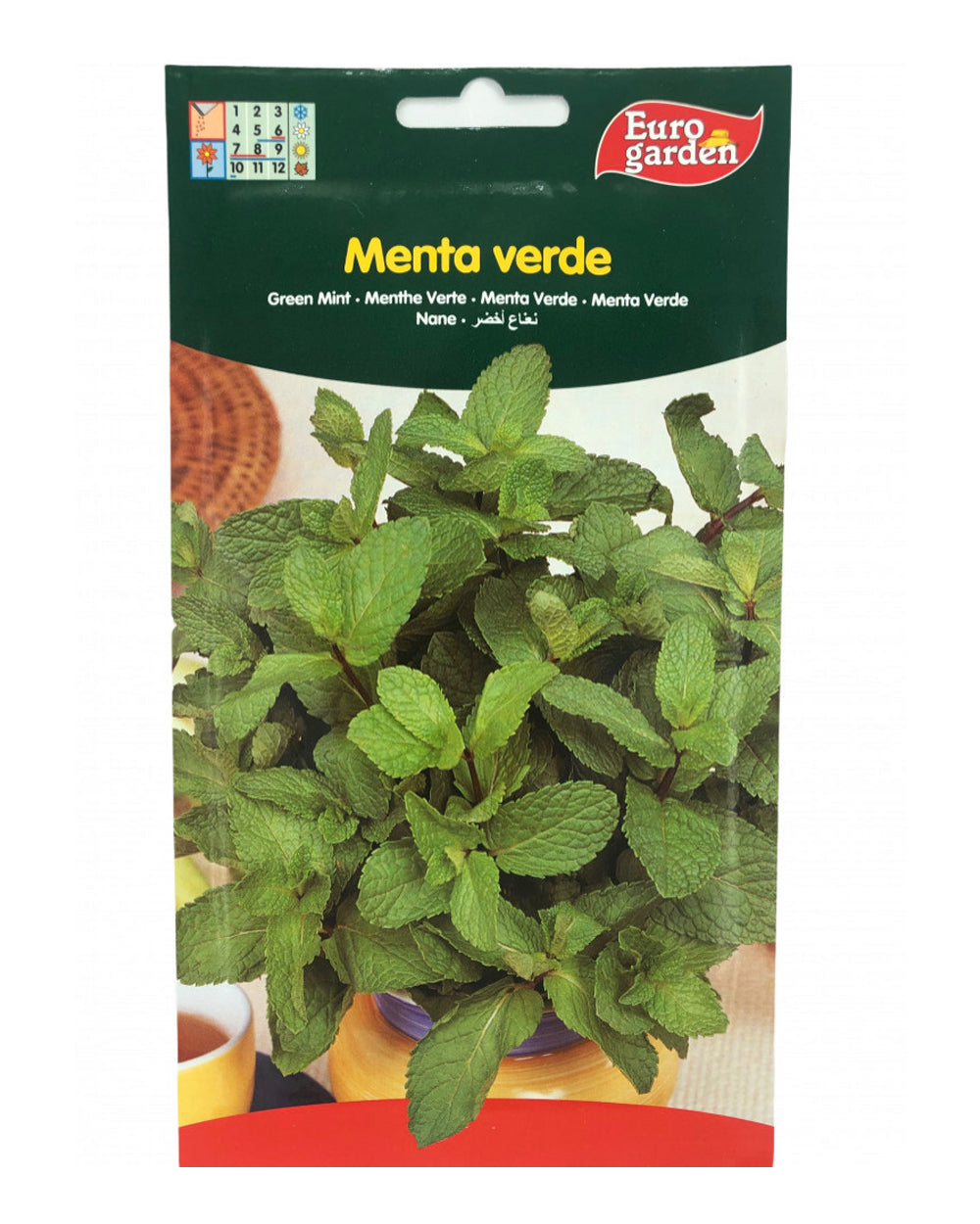 euro garden seeds Euro Garden Green Mint Premium Quality Seeds