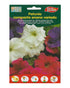 Euro Garden Petunia Dwarf Compact Mixed