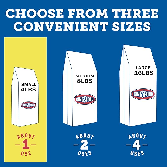 Kingsford 4Lbs Easy Light Briquettes