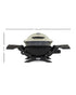 Weber Grill Q 1200 Grey