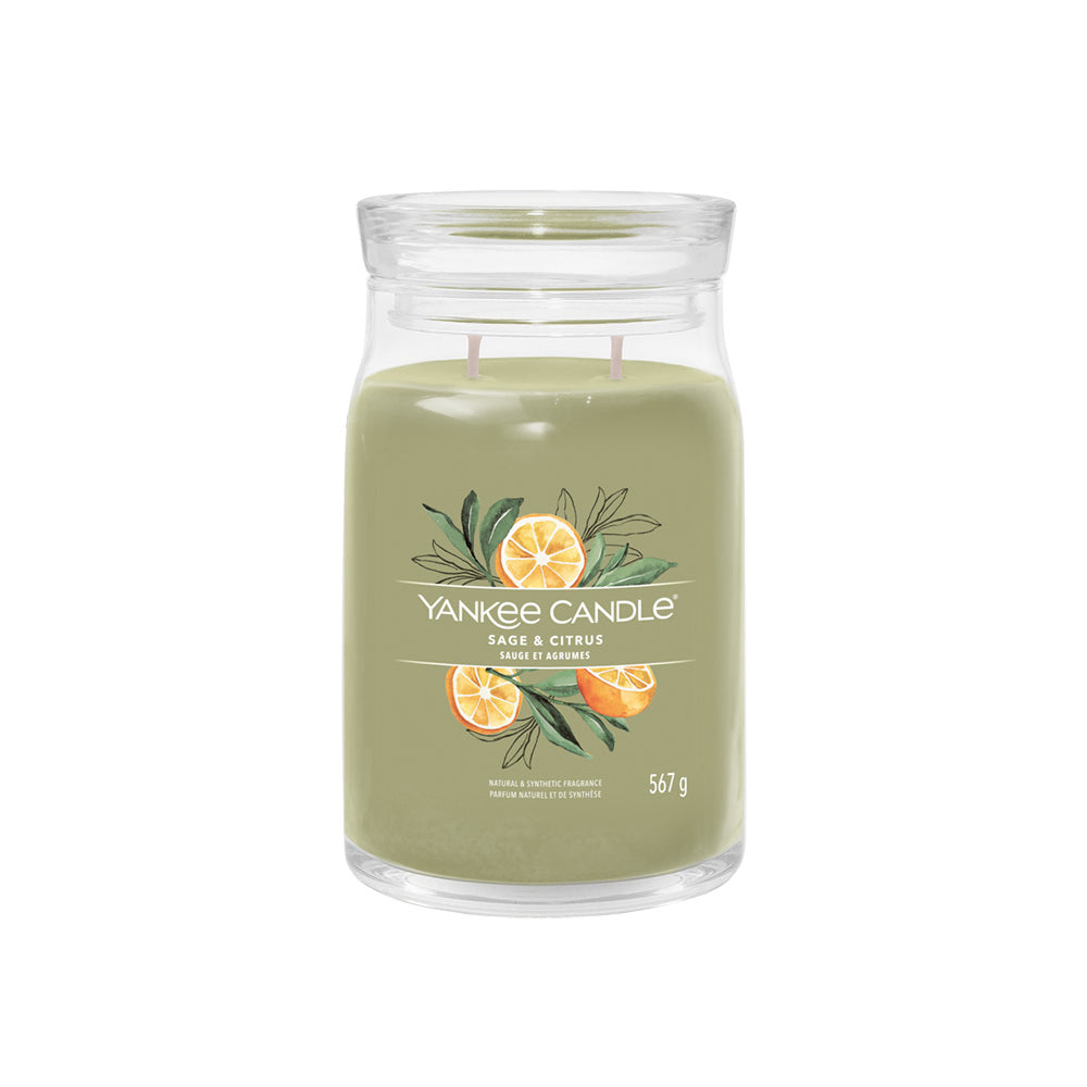 Yankee Signature Jar L Sage & Citrus