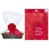 Eurowrap Red Hamper Dressing Set