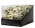 Homesmiths Star Plastic With Glitter Gold