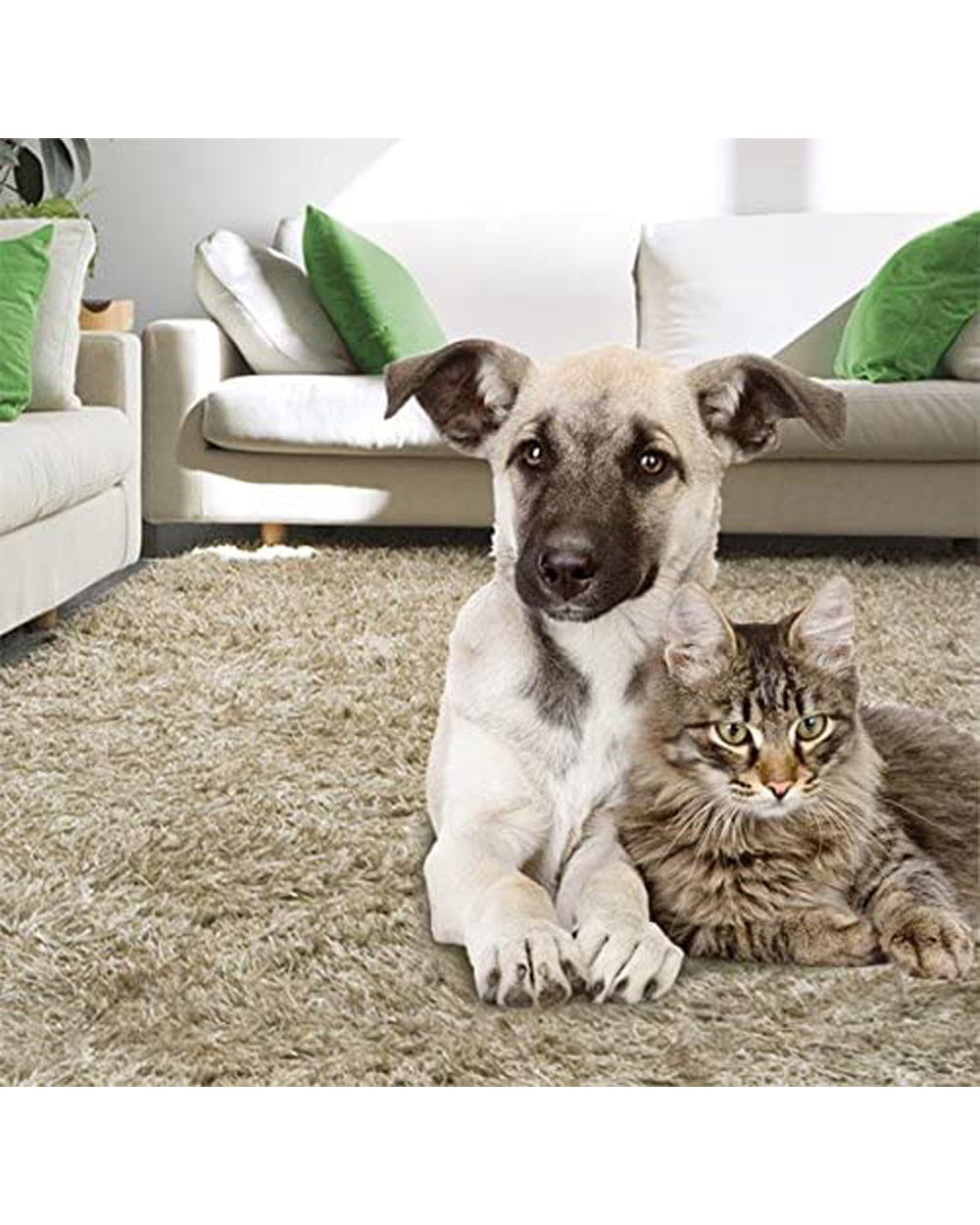 Zero In Home Flea Powder 300g