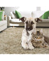 Zero In Home Flea Powder 300g