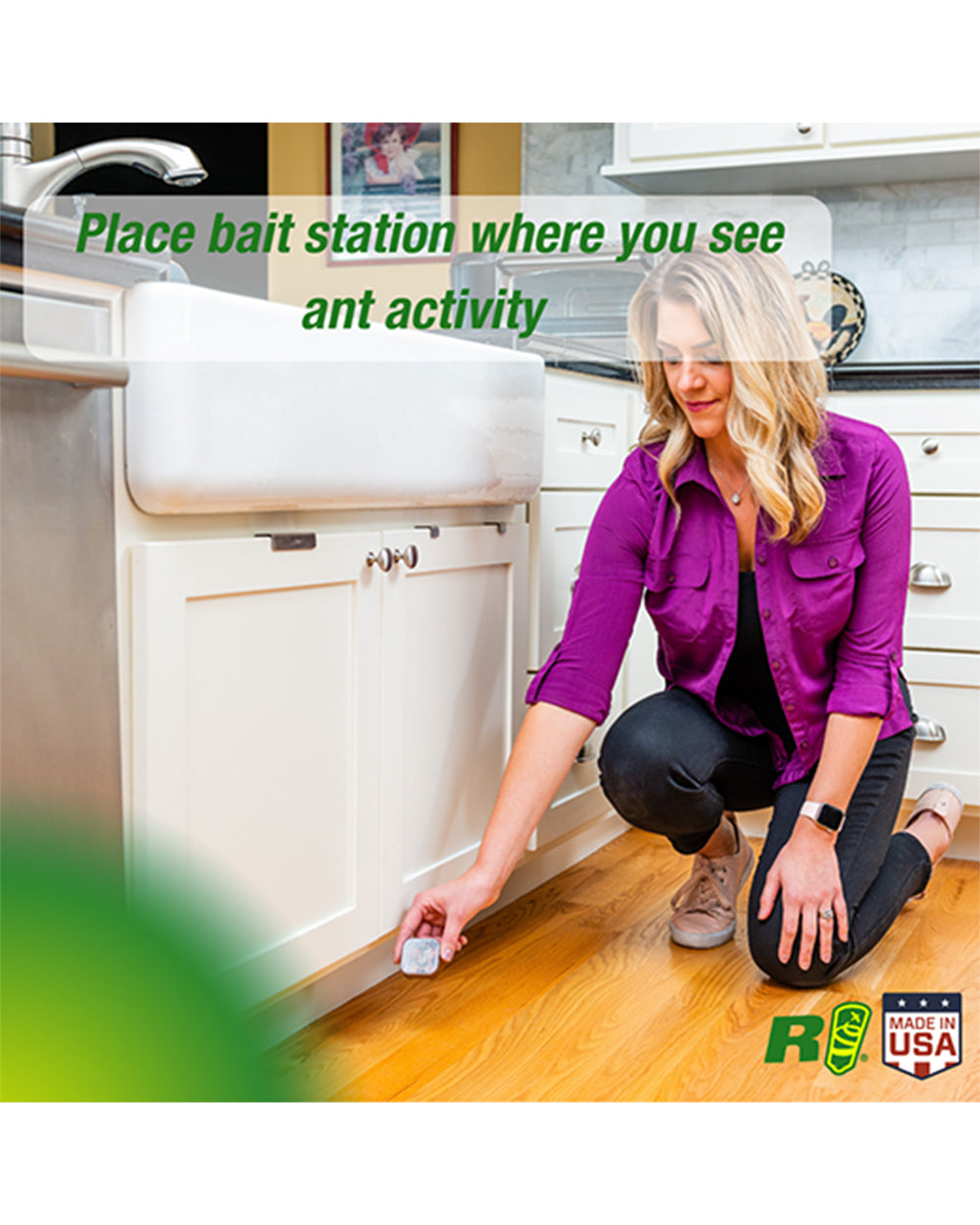 Rescue Ant Baits Kill