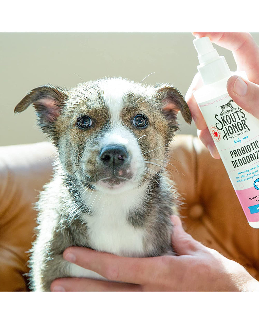 Skouts Honor 30ML Probiotic Daily Use Deodorizer Happy Puppy Grooming
