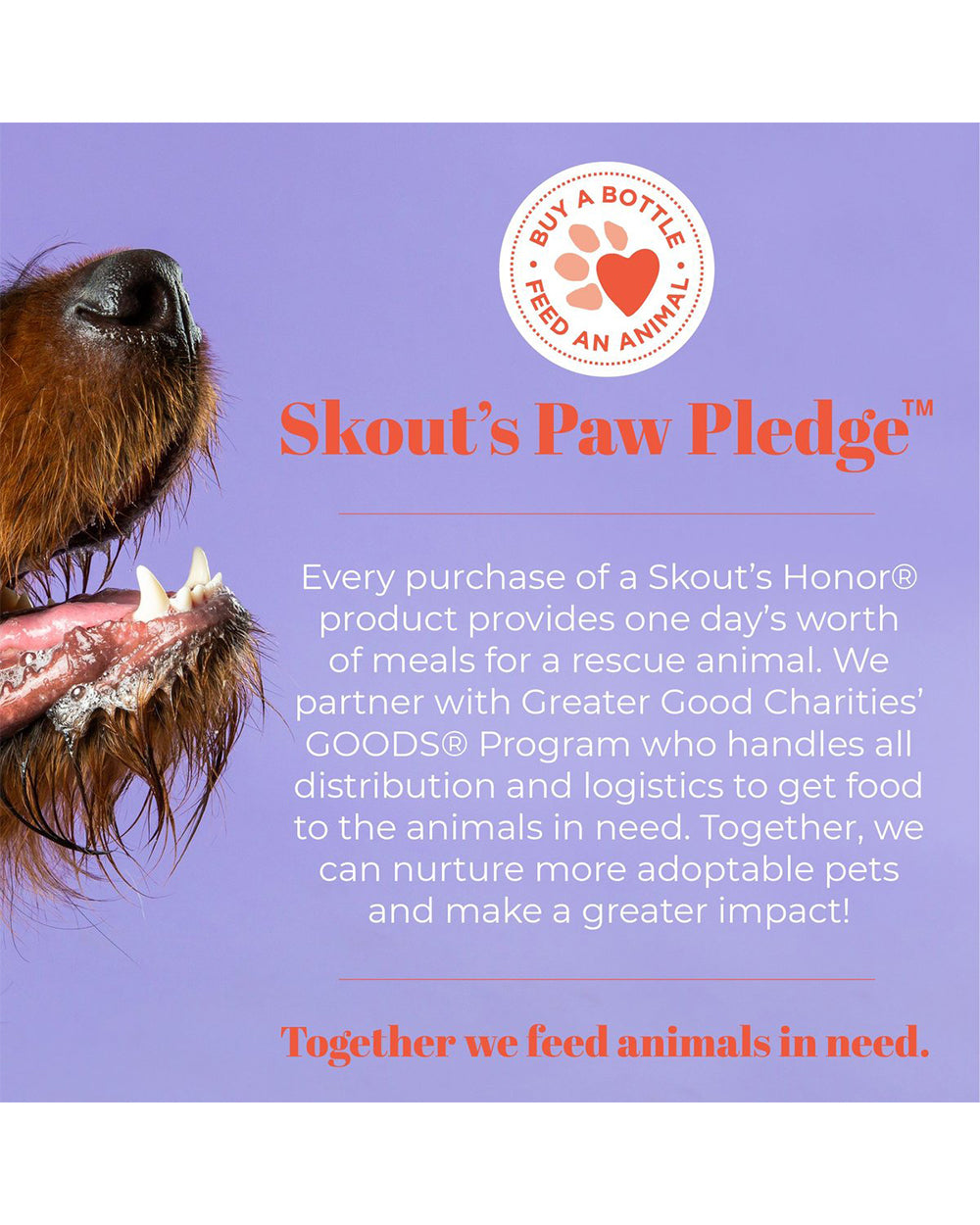 Skouts Honor 30ML Probiotic Daily Use Deodorizer Honeysuckle Grooming