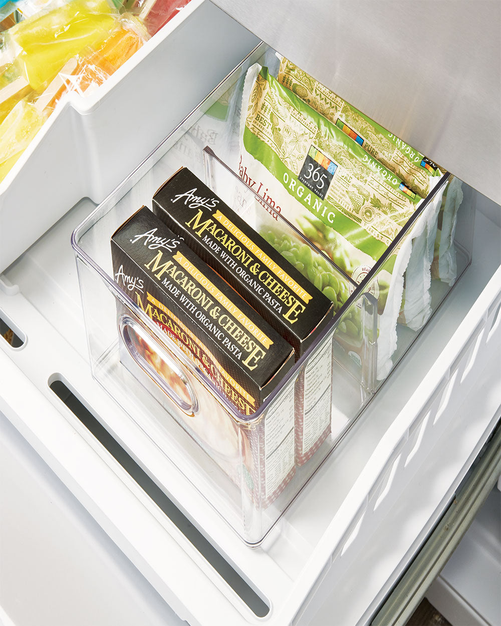 The Home Edit Divided Freezer Bin