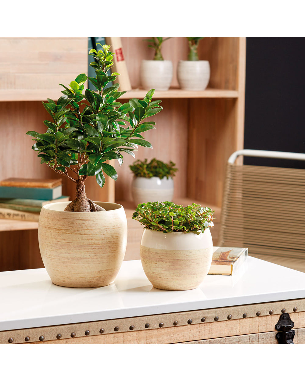 SK Alberta Flower Pot 18cm Cream