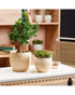 SK Alberta Flower Pot 18cm Cream