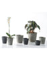SK Dayton Pot 15cm Grey Slate