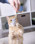 Smartykat Skitter Critters Cat Toy Catnip Mice Pack of 3