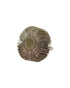 Homesmiths Round Flap Disc For Drill 80 Grit