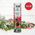 Scentsicles Snowberry Pine 6pcs Stick – Premium Festive Holiday Scented Sticks for Seasonal Home Decor, Christmas Ambiance, and Perfect Holiday Gifts
