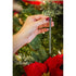 Scentsicles O Christmas Tree 6pcs Stick – Premium Festive Holiday Scented Sticks for Seasonal Home Decor, Christmas Ambiance, and Perfect Holiday Gifts