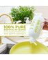 Sapadilla 16oz Dish Soap Rosemary + Peppermint