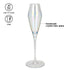 Fissman Set Of 2 Champagne Glasses 230ML