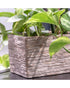 SK Latina Stone Rectangle Flower Pot 25cm Sabbia