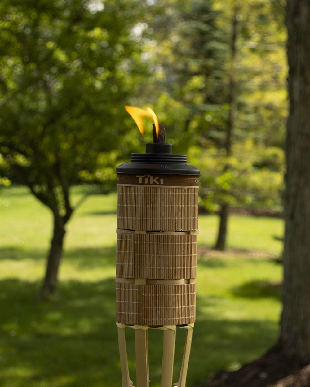 Tiki Weather Resistant Coated 60 inch Torch