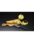 Samura Shadow Paring Knife with Black Non Stick Coating 4 inch