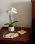 Umbra Prisma Jewelry Tray Matte Brass