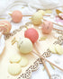 Scrapcooking 20 Cake Pop Sticks