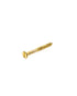 Homesmiths B.P Wood Screw 1 1/2 X6 mm