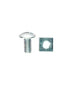 Homesmiths R.Bolts Nut 0.25 x 0.5 inch