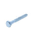 Homesmiths Coach Screw 1/4 X 2 Inch