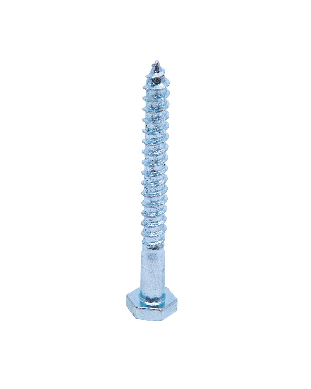 Homesmiths Coach Screw 1/4 X 2 Inch